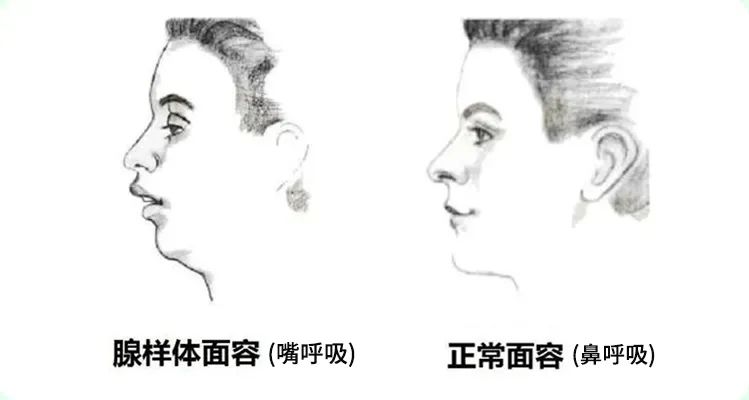微信图片_20241224124756