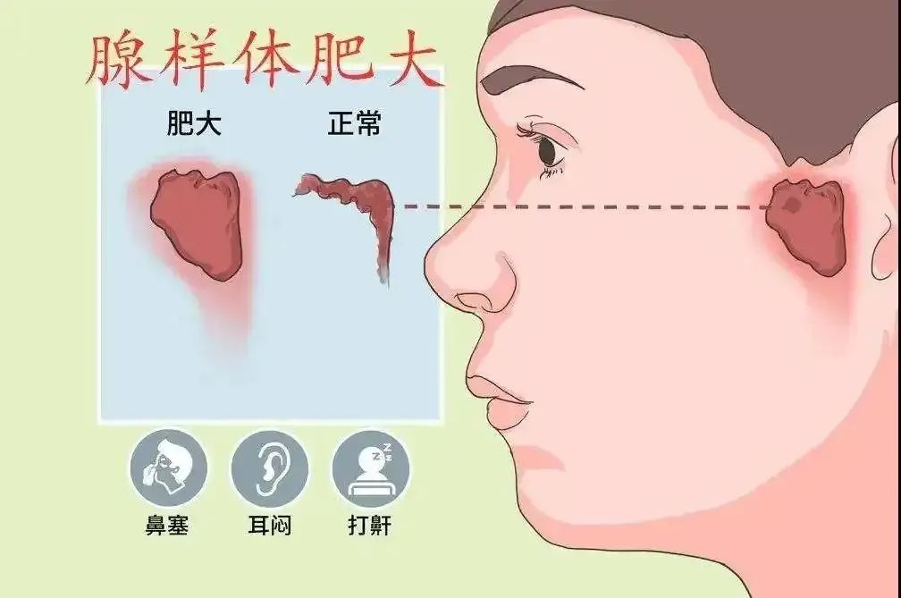 微信图片_20241224124958